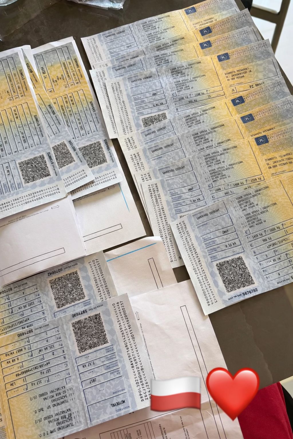 RINNOVO ASSICURAZIONE POLACCA